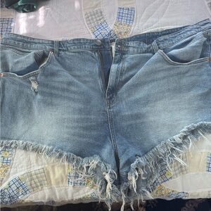Torrid Festi Cutoff denim shorts